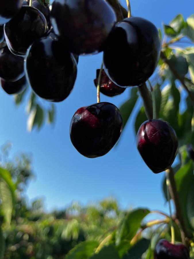 Kling Am See FDH Eksteriør bilde